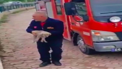 Dereye düşen köpeğin yardımına itfaiye koştu