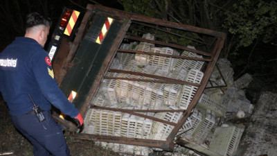 Tavuk yüklü kamyon uçuruma devrildi: Sürücü yaralı onlarca tavuk telef oldu