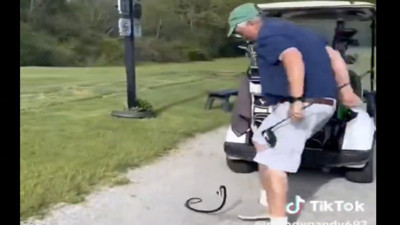 Arkadaşlarına oyuncak yılanla eşek şakası yaptılar