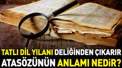 Tatlı dil yılanı deliğinden çıkarır atasözünün anlamı nedir?