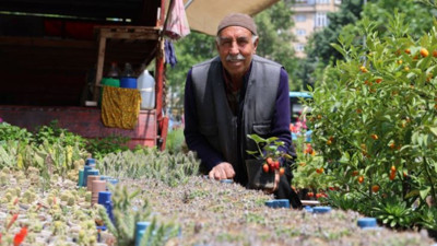 60 yıldır bitki yetiştirip satıyor. 30 TL'ye de 3 bin TL'ye de var