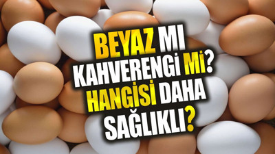 Beyaz mı kahverengi mi? Hangi yumurta daha sağlıklı?