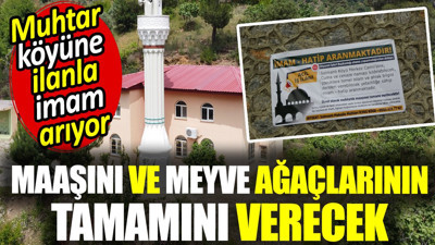 Muhtar köyüne ilanla imam arıyor. Maaşını ve meyve ağaçlarının tamamını verecek