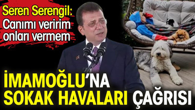Seren Serengil'den İmamoğlu’na sokak havaları çağrısı