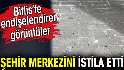 Şehir merkezini istila etti. Bitlis’te endişelendiren görüntüler