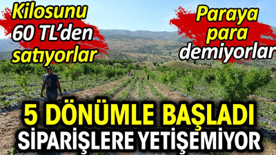 5 dönümle başladı şimdi siparişlere yetişemiyor! Paraya para demiyor