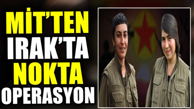 MİT'ten Irak'ta nokta operasyon (24 Mayıs 2024)