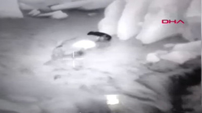 Anadolu parsı ile sırtlan karşı karşıya geldi