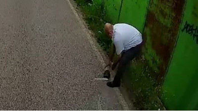 Otobüs şoförü kaplumbağayı ezilmekten kurtardı