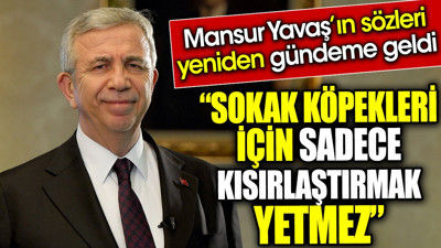 ‘Sokak köpekleri için sadece kısırlaştırmak yetmez’ Mansur Yavaş’ın sözleri yeniden gündeme geldi