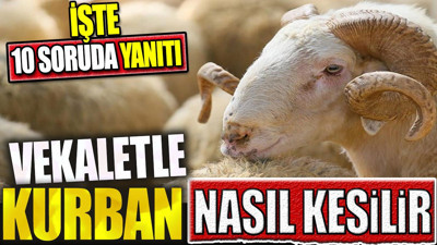 Vekaletle kurban nasıl kesilir? İşte 10 soruda yanıtı