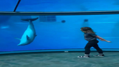 Hayvanat bahçesindeki yunus perende atan kadına eşlik etti