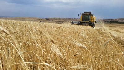 Köylüler biçmeye yetişemiyor her yerden ürün fışkırıyor. Çiftçi mutluluktan havalara uçuyor