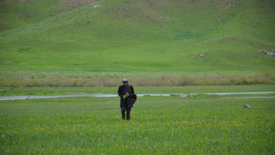 Kendiliğinden yetişiyor kilosu 100 TL'ye satılıyor. Çok büyük talep var