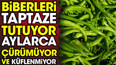 Biberleri taptaze tutuyor. Aylarca çürümüyor ve küflenmiyor