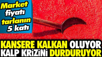 Market fiyatı tarlanın 5 katı! Kansere kalkan oluyor kalp krizini durduruyor