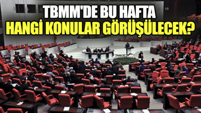 TBMM'de bu hafta hangi konular görüşülecek?