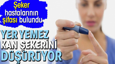 Şeker hastalarının şifası bulundu. Yer yemez kan şekerini düşürüyor