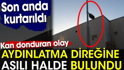 Aydınlatma direğine asılı halde bulundu. Kan donduran olay