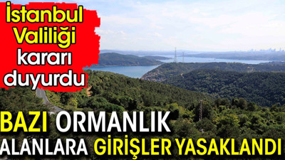 İstanbul'da ormanlara giriş kısıtlaması