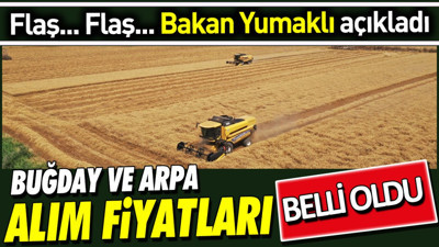 Son dakika... Buğday ve arpa alım fiyatları belli oldu