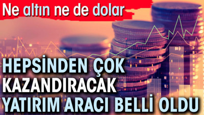 Ne altın ne de dolar. Hepsinden çok kazandıracak yatırım aracı belli oldu