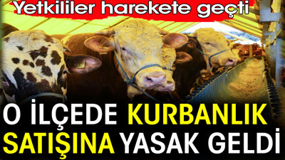 O ilçede kurbanlık satışına yasak geldi. Yetkililer harekete geçti