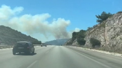 İzmir'de orman yangını (08 Haziran 2024)