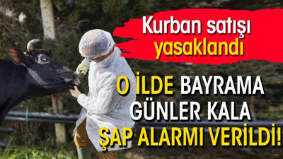O ilde Bayrama günler kala şap alarmı verildi! Kurban satışı yasaklandı
