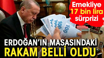 Erdoğan'ın masasındaki rakam belli oldu. Emekliye 17 bin lira sürprizi