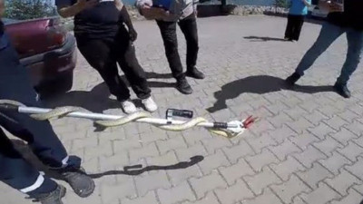 Safranbolu’da otomobilin motoruna giren yılan paniğe neden oldu