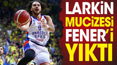 Larkin mucizesi Fenerbahçe'ye yıktı