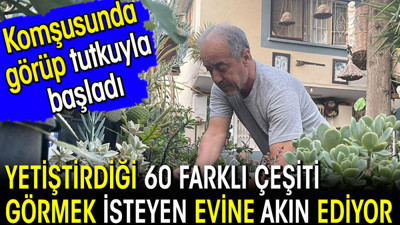 Komşusunda görüp, tutkuyla başladı! 60 çeşidi görmek isteyen evine akın ediyor