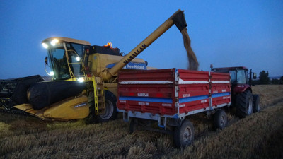 Hasadı 2 hafta erken başladı. Dönümü 130 TL