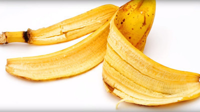 Hasadı başladı dalında kilosu 32 TL. Çöpe atılan kabuğu her derde deva