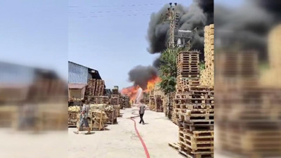 Kocaeli'de palet fabrikasında yangın (12 Haziran 2024)