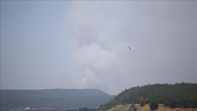Çanakkale'de orman yangını (12 Haziran 2024)