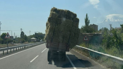 Ot yüklü traktör korku saçtı