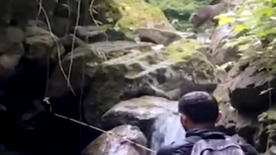 Balık tutmak isterken ayıyla karşılaştılar