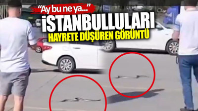 İstanbulluları hayrete düşüren görüntü: Ay bu ne ya