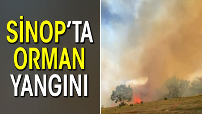 Sinop’ta orman yangını!