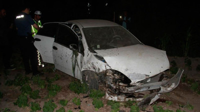 Ağaca çarpan otomobil sebze bahçesine savruldu. 5 yaralı