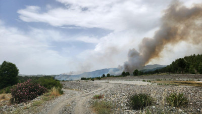 Muğla'da orman yangını (14 Haziran 2024)
