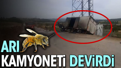 Arı kamyoneti devrildi