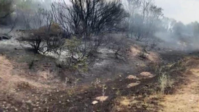 Balıkesir’de orman yangını (14 Haziran 2024)