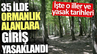 Ormanlık alanlara girişin yasaklandığı 35 il ve tarihler