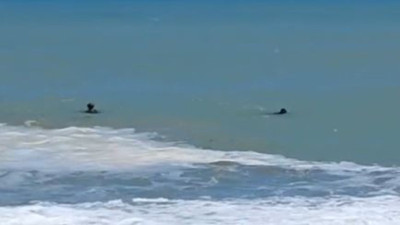 Karadeniz 16 yaşındaki çocuğu yuttu