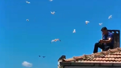 Çatıda mahsur kalan kargayı polisler kurtardı