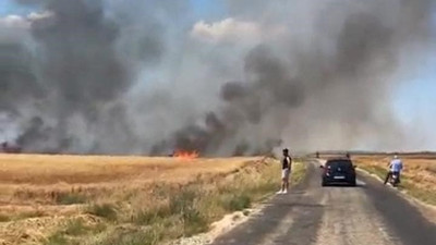 Edirne'de acı manzara! 20 dönüm buğday küle döndü