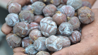 Her derde deva. En etkili şifa kaynağı